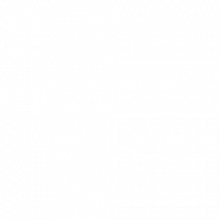 Moorea Underwater Experience