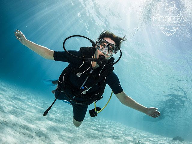 moorea scuba diving private tour discover diving
